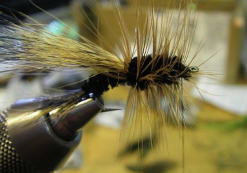 Great Lakes Fly Company