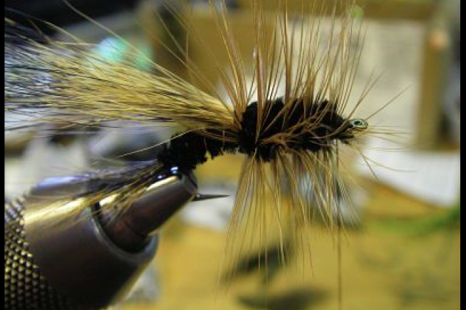 Great Lakes Fly Company