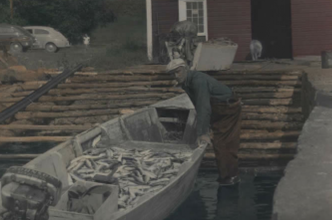 North Shore Commercial Fishing Museum