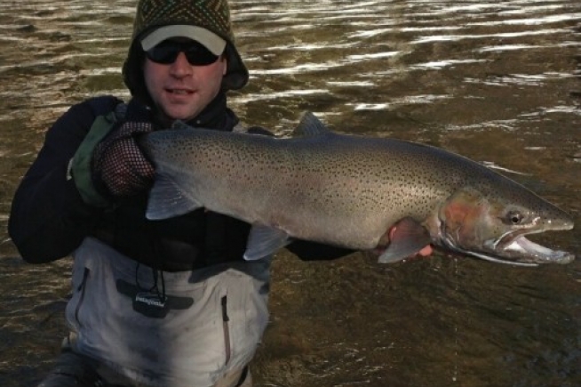 Superior Fly Angler