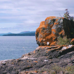 Butterwort Cliffs – Scientific & Natural Area