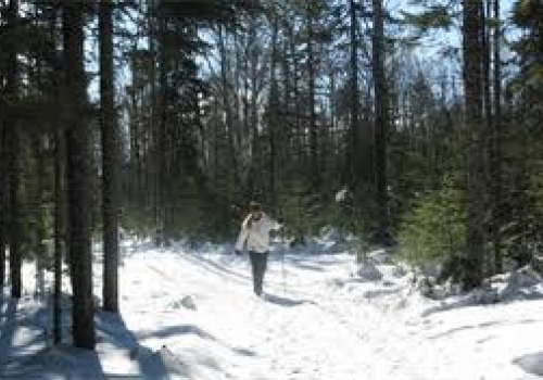 Lester-Amity Cross-Country Ski Trail