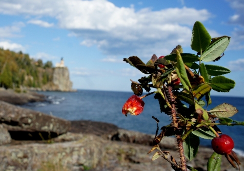 Split Rock Lighthouse State Park Cart-In Campground.