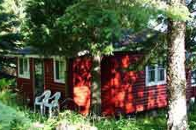 Spruce Falls Cabins Great Lakes Drive