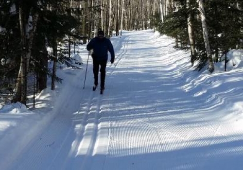 Sugarbush Cross-Country Ski Trail