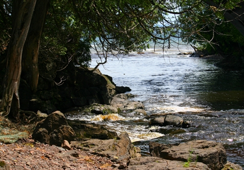 French River – Hatchery