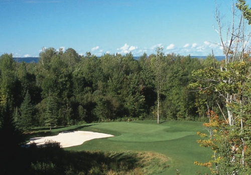 Wild Bluff Golf Course