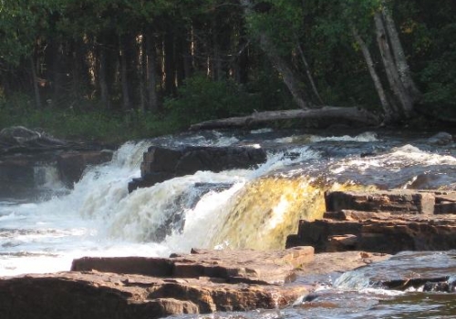 Trowbridge Falls Campground