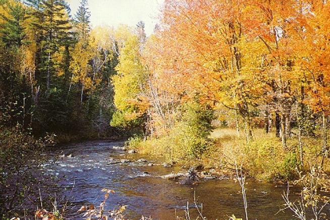 Brule River Boreal Forest (No. 160)