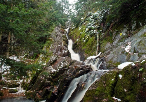 Morgan Falls