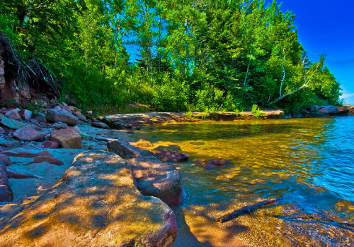 Port Wing Boreal Forest