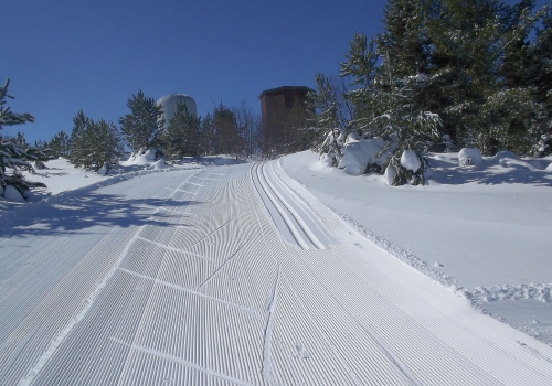 Swedetown Nordic Ski & Mountain Bike Trails