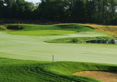 Royal St. Patrick’s Golf Links