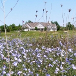 The Orchards at Egg Harbor