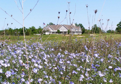 The Orchards at Egg Harbor