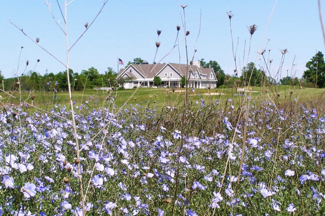 The Orchards at Egg Harbor