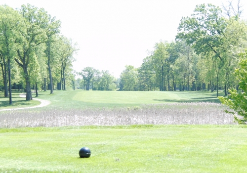 Bittersweet Golf Club