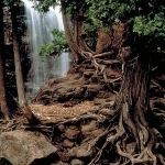 Gooseberry Falls State Park