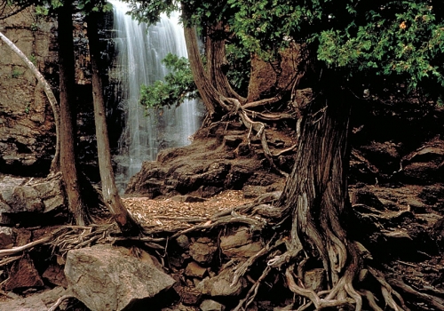 Gooseberry Falls State Park