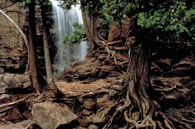 Gooseberry Falls State Park