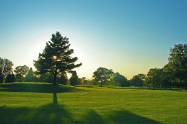 Scherwood Golf
