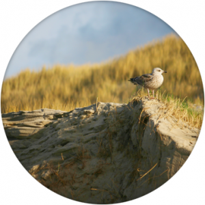 About-Great-Lakes-Drive-Main-Image